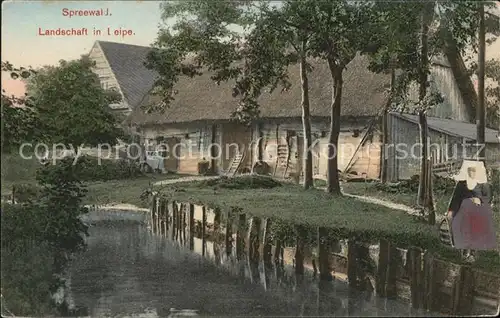 Spreewald Landschaft in Leipe Kat. Luebbenau