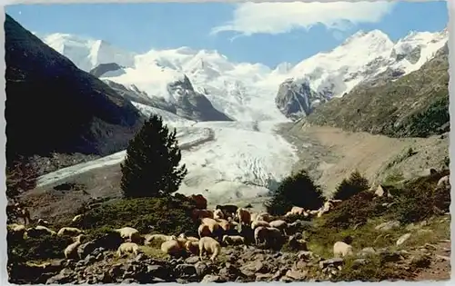 Piz Palue Piz Palue Morteratschgletscher * / Piz Palue /Rg. Piz Bernina