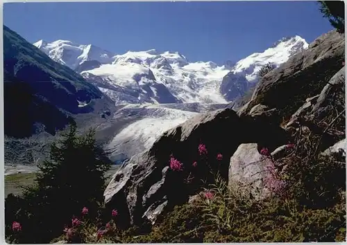 Morteratsch Morteratsch Gletscher Berninagruppe x / Morteratsch /Rg. Inn