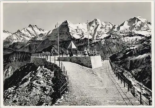 Niesen Kulm Niesen Kulm  x / Niesen Kulm /Bz. Frutigen