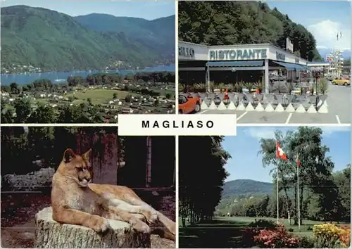 Magliaso Magliaso  x / Magliaso /Bz. Lugano