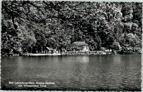 Bad Lauterberg Bad Lauterberg Wiesenbekerteich * / Bad Lauterberg im Harz /Osterode Harz LKR