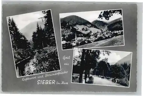 Sieber Sieber  * / Herzberg am Harz /Osterode Harz LKR