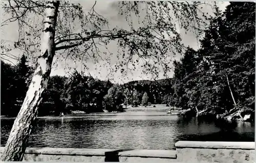 Bad Sachsa Harz Bad Sachsa Schmelzteich * / Bad Sachsa /Osterode Harz LKR