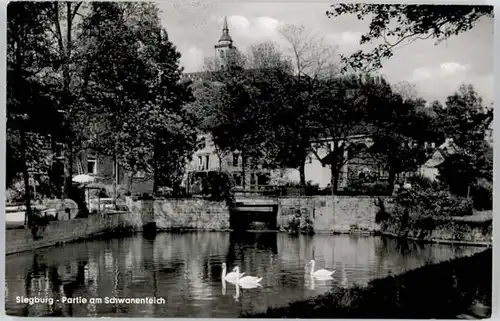 Siegburg Siegburg Schwanenteich * / Siegburg /Rhein-Sieg-Kreis LKR