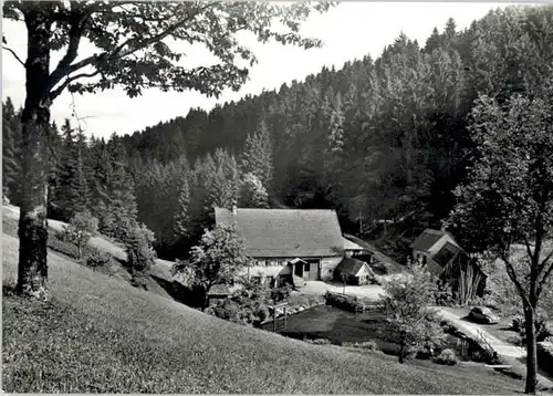 Besenfeld Besenfeld Erholungsheim Schwarzwaldmuehle * / Seewald /Freudenstadt LKR