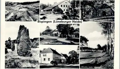 Bispingen Bispingen  * / Bispingen Lueneburger Heide /Soltau-Fallingbostel LKR