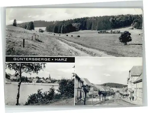 Guentersberge Guentersberge  x / Guentersberge /Harz LKR
