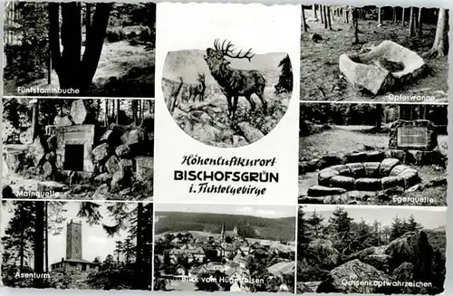 Bischofsgruen Bischofsgruen Mainquelle Astenturm Egerquelle x / Bischofsgruen /Bayreuth LKR