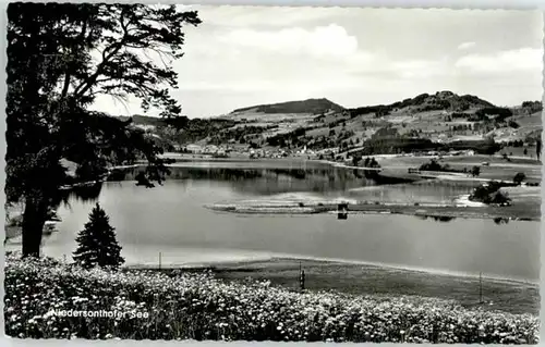 Niedersonthofen Niedersonthofen See x / Waltenhofen /Oberallgaeu LKR