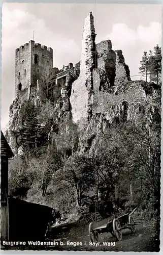 Regen Regen Ruine Weissenstein * / Regen /Regen LKR