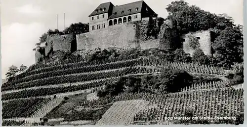 Bad Muenster Stein Ebernburg Bad Muenster Ebernburg * / Bad Muenster am Stein-Ebernburg /Bad Kreuznach LKR