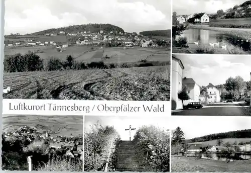 Taennesberg Taennesberg  x / Taennesberg /Neustadt Waldnaab LKR