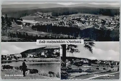 Hahnenklee-Bockswiese Harz Hahnenklee-Bockswiese Irenenquelle Bocksberg * / Goslar /Goslar LKR