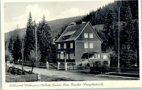 Wildemann Wildemann Pension Haus Hueneke x / Wildemann Harz /Goslar LKR