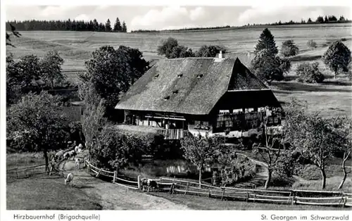 St Georgen Schwarzwald Hirzbauernhof x / St. Georgen im Schwarzw. /Schwarzwald-Baar-Kreis LKR