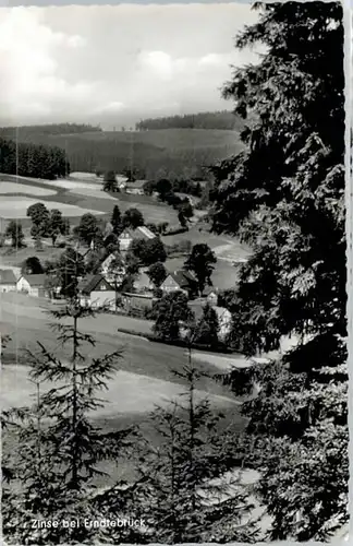 Zinse Zinse  x / Erndtebrueck /Siegen-Wittgenstein LKR