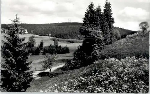 Hahnenklee-Bockswiese Harz Hahnenklee-Bockswiese  x / Goslar /Goslar LKR