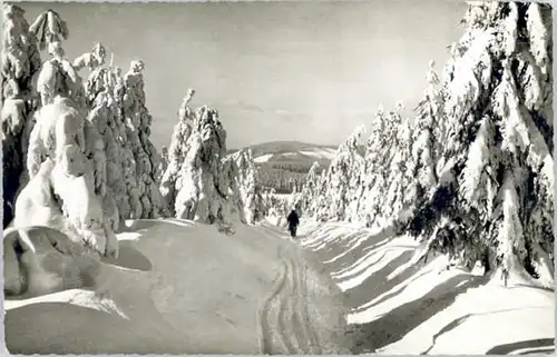 Hahnenklee-Bockswiese Harz Hahnenklee-Bockswiese  x / Goslar /Goslar LKR