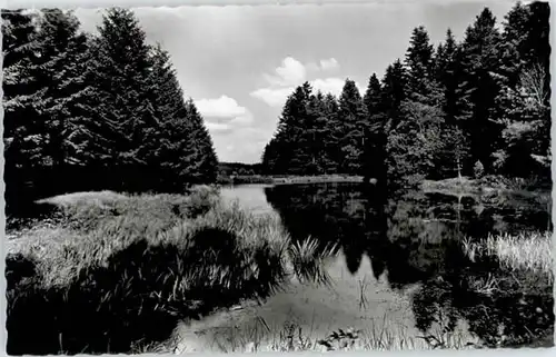 Koenigsfeld Schwarzwald Koenigsfeld Donisweiher * / Koenigsfeld im Schwarzwald /Schwarzwald-Baar-Kreis LKR