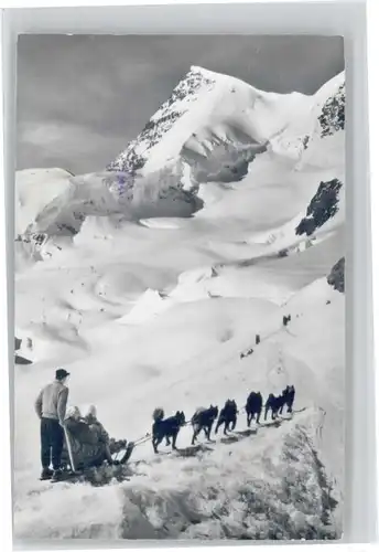Jungfraujoch Jungfraujoch Rottalhorn Polarhunde x / Jungfrau /Rg. Finsteraarhorn
