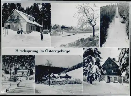 Dippoldiswalde Osterzgebirge Dippoldiswalde Hirschsprung x / Dippoldiswalde /Saechsische Schweiz-Osterzgebirge LKR