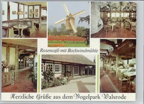 Walsrode Lueneburger Heide Walsrode Cafe Bockwindmuehle Vogelpark  * / Walsrode /Soltau-Fallingbostel LKR
