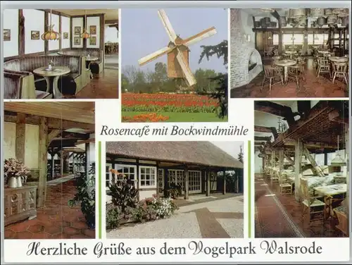 Walsrode Lueneburger Heide Walsrode Cafe Bockwindmuehle Vogelpark  * / Walsrode /Soltau-Fallingbostel LKR