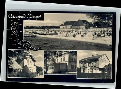 Zingst Ostseebad Zingst  x / Zingst Darss /Nordvorpommern LKR