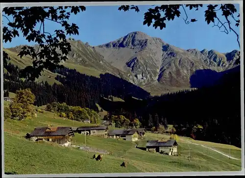 Gsuer Gsuer  * / Gsuer /Rg. Adelboden