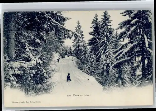 Nyon VD Nyon [Photo] Chaux en hiver * / Nyon /Bz. Nyon