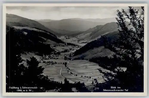 Feldberg Schwarzwald Feldberg Schwarzwald Menzenschwander Tal * / Feldberg (Schwarzwald) /Breisgau-Hochschwarzwald LKR