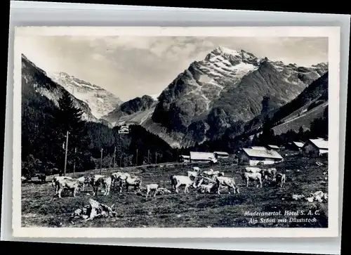 Amsteg Amsteg ? Manderanertal Hotel  * / Amsteg /Bz. Uri