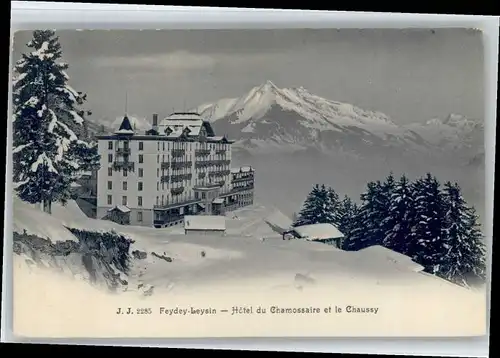 Leysin Leysin Hotel du Chamossaire * / Leysin /Bz. Aigle