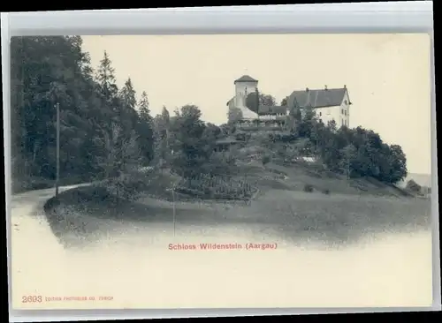 Bubendorf Bubendorf Schloss Wildenstein * / Bubendorf /Bz. Liestal