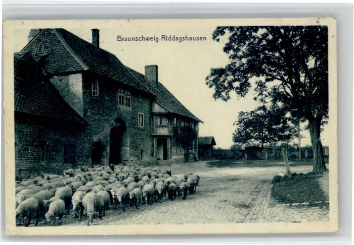 Braunschweig. Riddagshausen. Reichsjägerhof Hermann Göring Nr. 08156