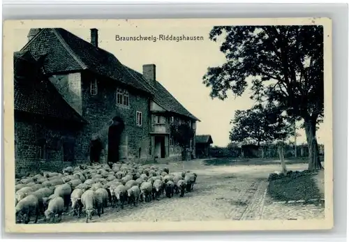 Riddagshausen Riddagshausen  x / Braunschweig /Braunschweig Stadtkreis