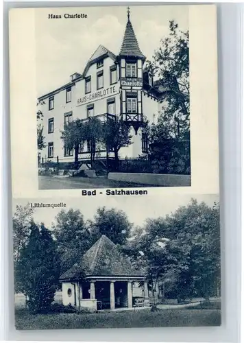 Bad Salzhausen Bad Salzhausen Haus Charlotte Lithiumquelle * / Nidda /Wetteraukreis LKR