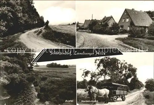 Schaetzendorf Pension Homann Heidekutsche Auetal / Egestorf /Harburg LKR