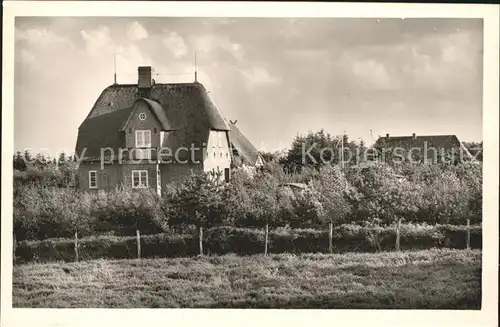 Nebel Amrum Westerheide / Nebel /Nordfriesland LKR