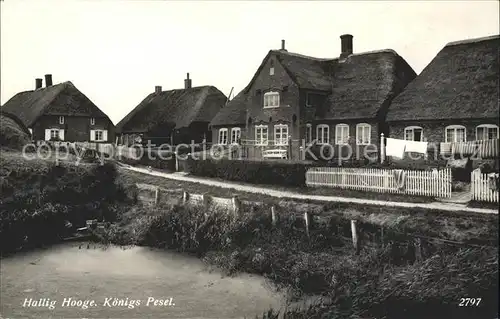 Hallig Hooge Koenigs Pesel / Hooge /Nordfriesland LKR