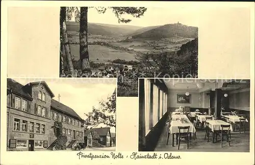 Hainstadt Odenwald Privatpension Nolete / Breuberg /Odenwaldkreis LKR