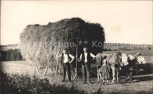 Dettingen Hohenzollern Bauer Foto /  /