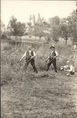 Dettingen Hohenzollern Bauernarbeiten Heuernte Schlossruine / Hechingen /Zollernalbkreis LKR