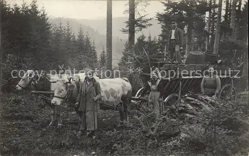 Dettingen Hohenzollern Bauernfamilie Foto Wald / Hechingen /Zollernalbkreis LKR