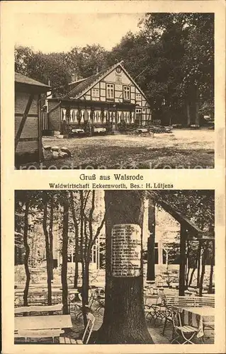 Walsrode Lueneburger Heide Waldwirtschaft Eckernworth / Walsrode /Soltau-Fallingbostel LKR