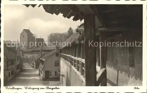 Noerdlingen Wehrgang am Bergertor / Noerdlingen /Donau-Ries LKR