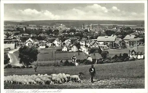 Villingen-Schwenningen Schaefer  / Villingen-Schwenningen /Schwarzwald-Baar-Kreis LKR