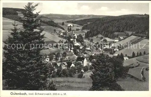 Guetenbach  / Guetenbach /Schwarzwald-Baar-Kreis LKR
