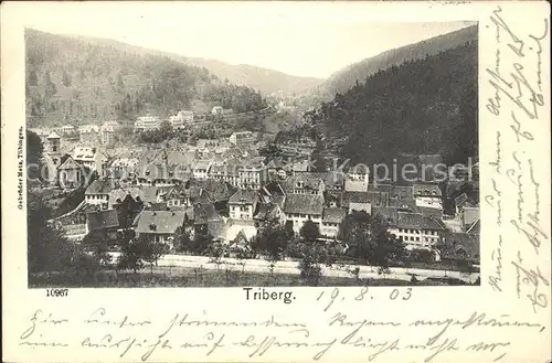 Triberg Schwarzwald  / Triberg im Schwarzwald /Schwarzwald-Baar-Kreis LKR